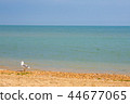 Adriatic Sea coast view. summer sandy beach  44677065