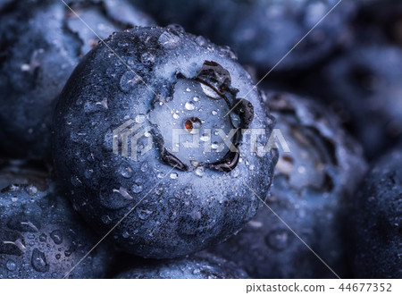 Fresh ripe blueberry with drops of dew. Berry background. Macro photo 44677352