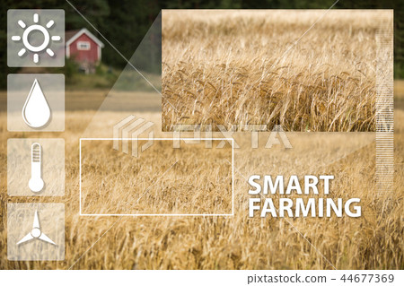 Digital agriculture concept.  44677369