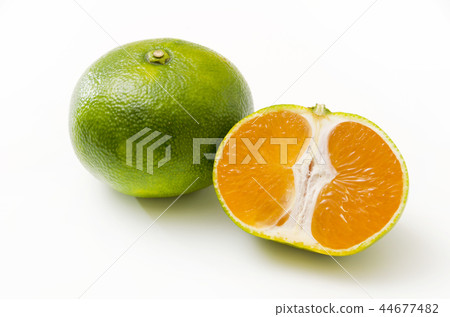 藍色切割溫州桔子 44677482