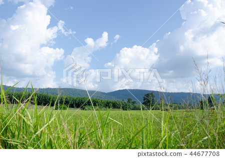 Bright sky, fertile mountains And lush green meado 44677708
