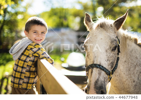 in a beautiful Autumn season of a young boy and horse in a beautiful Autumn season of a young boy and horse 44677948