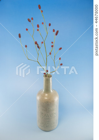 Waremoku(花藝術)由樹脂粘土製成 Waremoku(花藝術)由樹脂粘土製成 44678000
