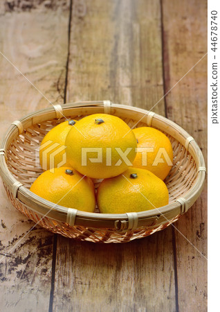 Very early birth mandarin orange 44678740