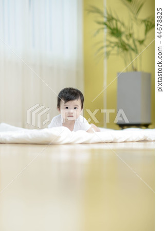 三個授權家庭 三個授權家庭 44678825