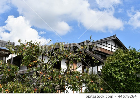 Kishoji在初秋 44679264