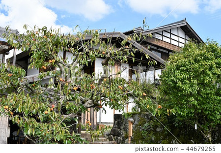 Kishoji在初秋 44679265