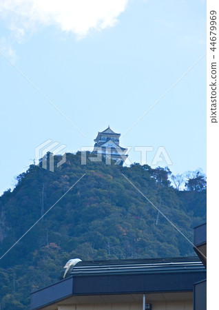 金閣山和岐阜城堡（岐阜縣岐阜縣）的城堡塔 44679969