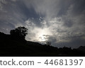 sky 44681397