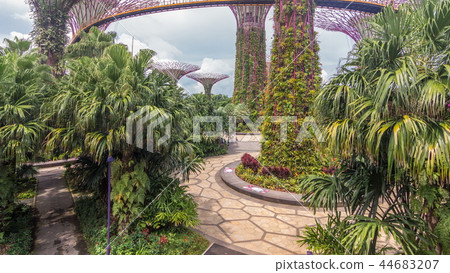 Supertrees at Gardens by the Bay timelapse. Supertrees at Gardens by the Bay timelapse. 44683207