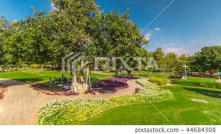 Alley with green lawn and trees at Dubai Creek park timelapse. Dubai, United Arab Emirates 44684308