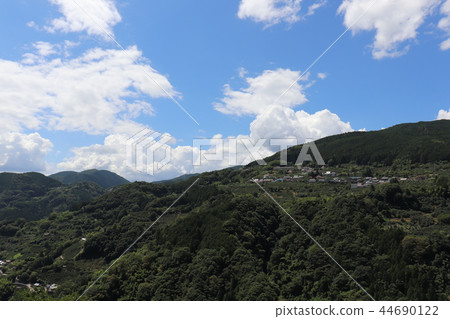 和歌山區 44690122