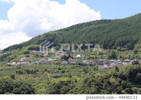 和歌山區 44690131