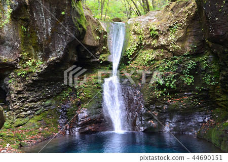 I went to the Shirashi waterfall # 19 44690151