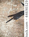 Finger shadow 44690329