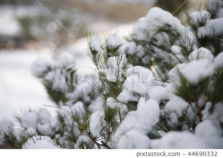 snow snow 44690332