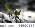 snow 44690335