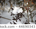 snow 44690343