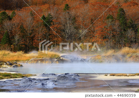 秋葉的八幡平 44690359
