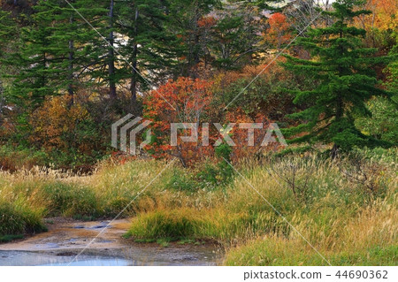 Hachimantai of autumn leaves Hachimantai of autumn leaves 44690362