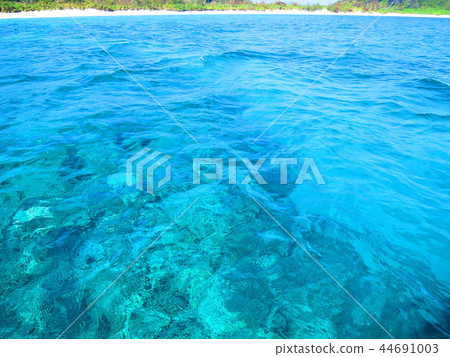 沖繩座間味島海灘景觀 沖繩座間味島海灘景觀 44691003