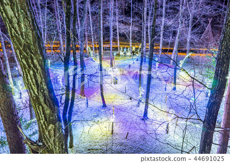Illuminated National Alps Azumino Park Illuminated National Alps Azumino Park 44691025