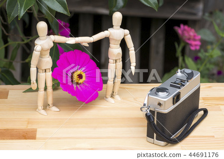 花和紀念照片玩偶 花和紀念照片玩偶 44691176