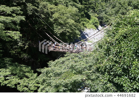 Kazura橋的照片 44691682