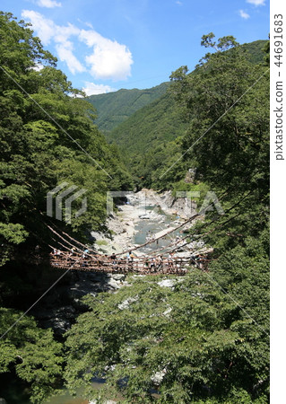 Photograph of Kazura Bridge 44691683