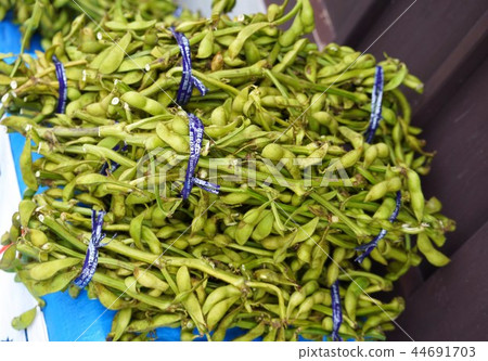 Tamba Tanzan Black Bean Tamba Tanzan Black Bean 44691703