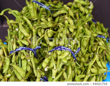 Tamba Tanzan Black Bean Tamba Tanzan Black Bean 44691704