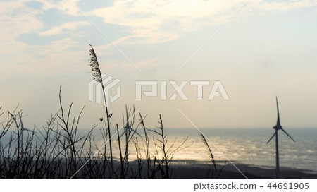 Coastal upright wind turbines Windmills Sightseeing spots Blue Cape of Good Hope Green electricity Green energy 44691905