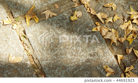 秋天掉落滿地的枯黃葉子 秋天掉落滿地的枯黃葉子 44691925