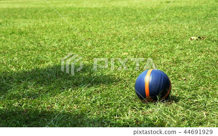 一顆在草地上的籃球 44691929