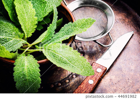 Natural medicine, herbs Natural medicine, herbs 44691982