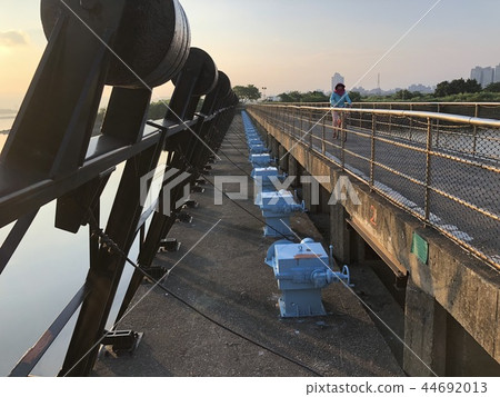 五股濕地日出 44692013