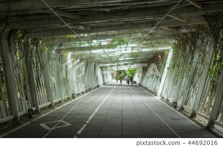 花博公園 44692016