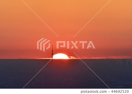 Tokyo distant view sunrise and sky tree in the morning sun 44692520