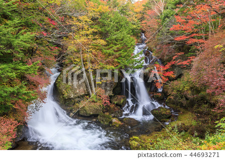Nikko Ryugano Falls 44693271