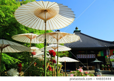 大鳥寺的Botan 大鳥寺的Botan 44693444