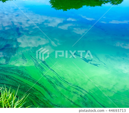 水雲 水雲 44693713