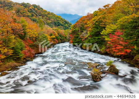 Autumn leaves in sunlight Ryukyu Falls seen from the top of the waterfall Yukawa a-1 wide angle 44694926
