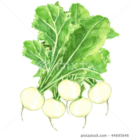 With kabuto leaves 44695646