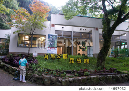 Insect building 44697082