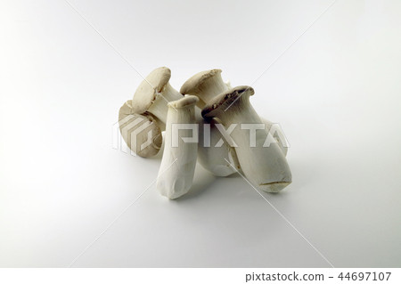 Mushroom mushroom, mushroom, food 44697107