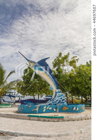 Barracuda Meedhoo Raa Atoll Island Maldives 44697687