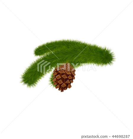 Christmas tree branch with pine cone. - Stock Illustration [44698287 ...