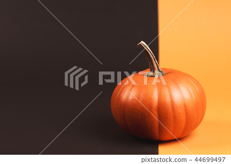 Pumpkin on two-colored background 44699497