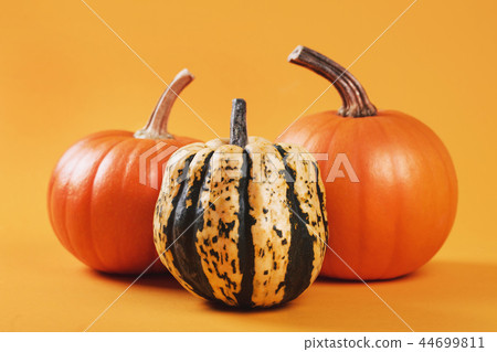Group of pumpkins 44699811