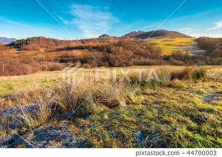 beautiful morning scenery with hoar on the grass beautiful morning scenery with hoar on the grass 44700003